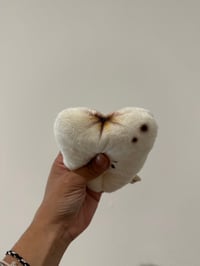 Image 2 of Cavity Cutie