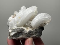 Image 18 of Ram’s Horn Selenite, Gypsum Specimen | Guizhou China #3048