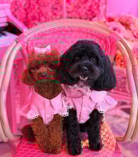 Image 3 of CHLOE TOP . PINK