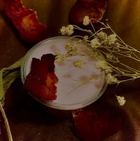 Image 2 of Body Lotion