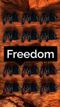 Image 4 of “Freedom” Pants/ Hoodie