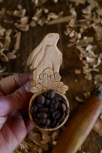 Image 2 of The Star Gazing Hare Scoop 