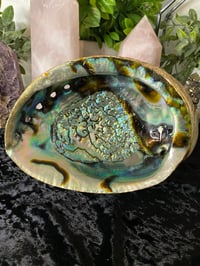 Image 1 of Extra Large Abalone Shell 