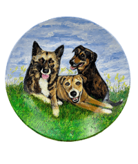 Image 1 of Hand Painted 11” Round Plate
