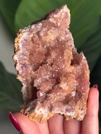 Image 2 of HQ PINK AMETHYST GEODE -ARGENTINA- G