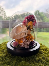 Image 4 of Summer Kitty Cloche 