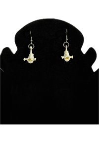 Image 1 of Vertebrae Earrings
