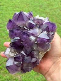 Image 6 of Amethyst Points Cluster | Congo #2868