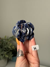 Image 9 of SODALITE  ROSES