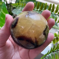 Image 2 of Septarian Sphere C