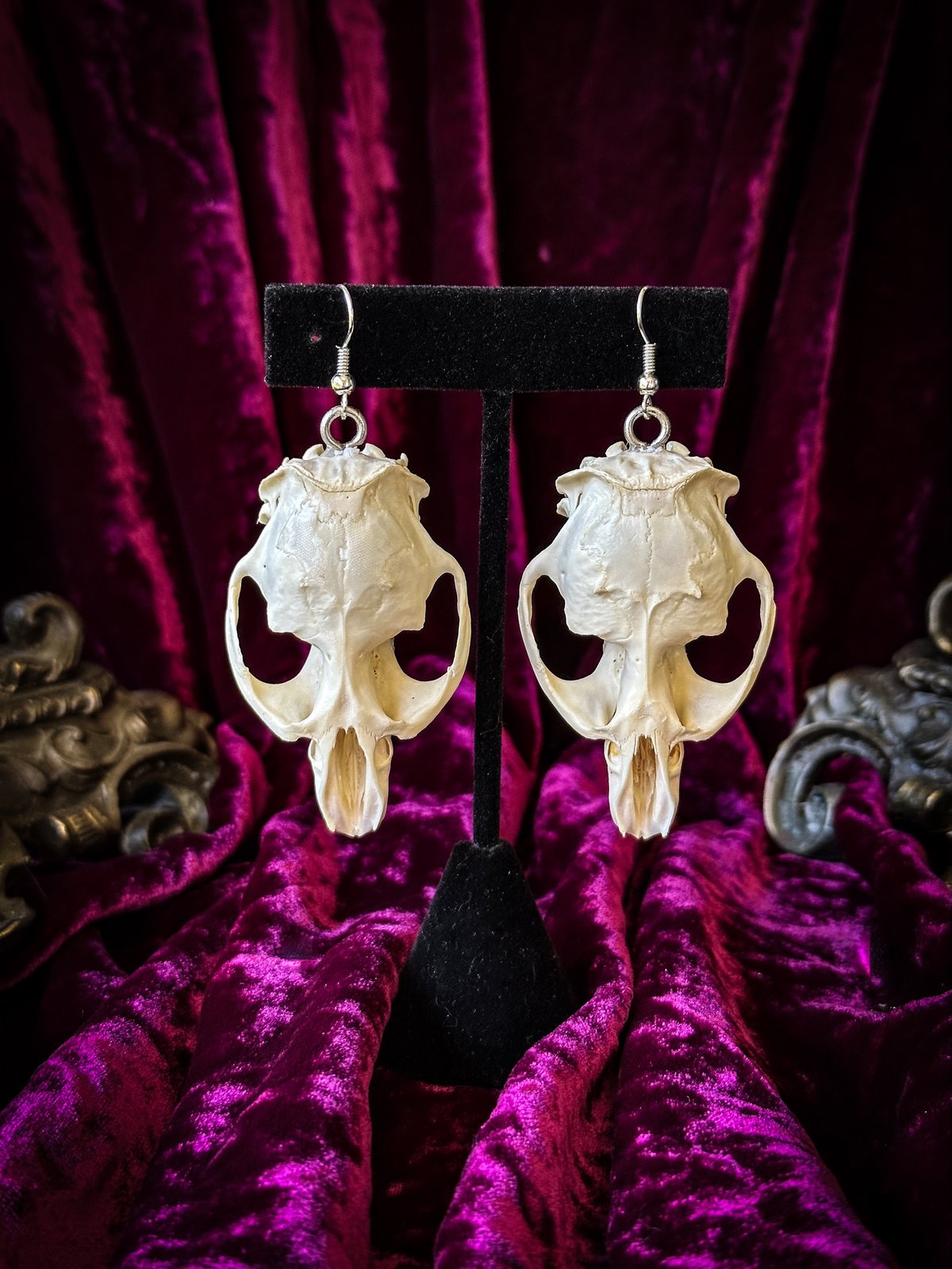 Muskrat Skull - Earrings | Madame Macabre's House of Curiosities