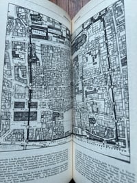 Image 8 of Guide du Val de Loire mystérieux, les guides noirs, Tchou, 1980