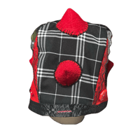 Image 3 of spiked lady bug