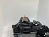 Image 5 of Common Nighthawk Hotshoe Cover