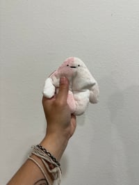 Lil Pink Gingham Bloog