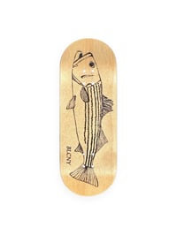 Image 1 of Striped Bass