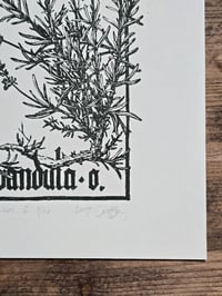 Image 5 of Mercurius Lavandula • Planherbarium linocut paper print