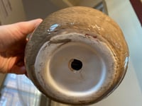 Image 3 of Aloe Vera in Cute Sloth Bowl