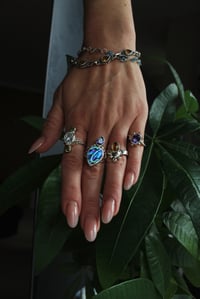 Image 5 of Amethyst Sun