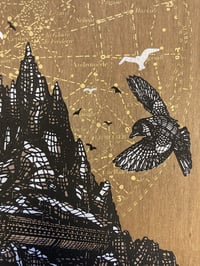 Image 3 of "La Conférence des Oiseaux" - Peuplier / Wood-