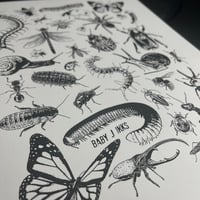Image 2 of Bug Collage