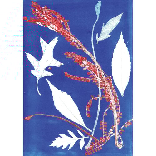 Image of Jōl Set Of 3 Notecards (A)