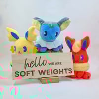 Image 1 of Soft Weights