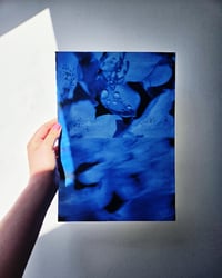 Image 4 of BLUE FLOWERS 