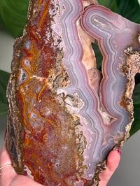 Image 3 of AGUA NUEVA AGATE SLAB A