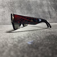 Image 9 of Spider traps