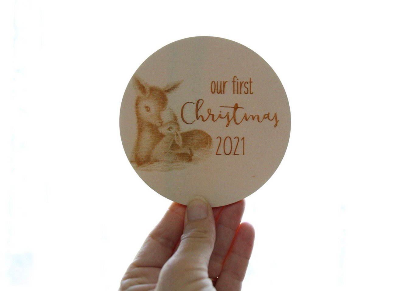 Image of Reindeer ðŸ¦Œ My first Christmas plaque 