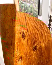 Image 5 of Inside/Out- Dana Ingham