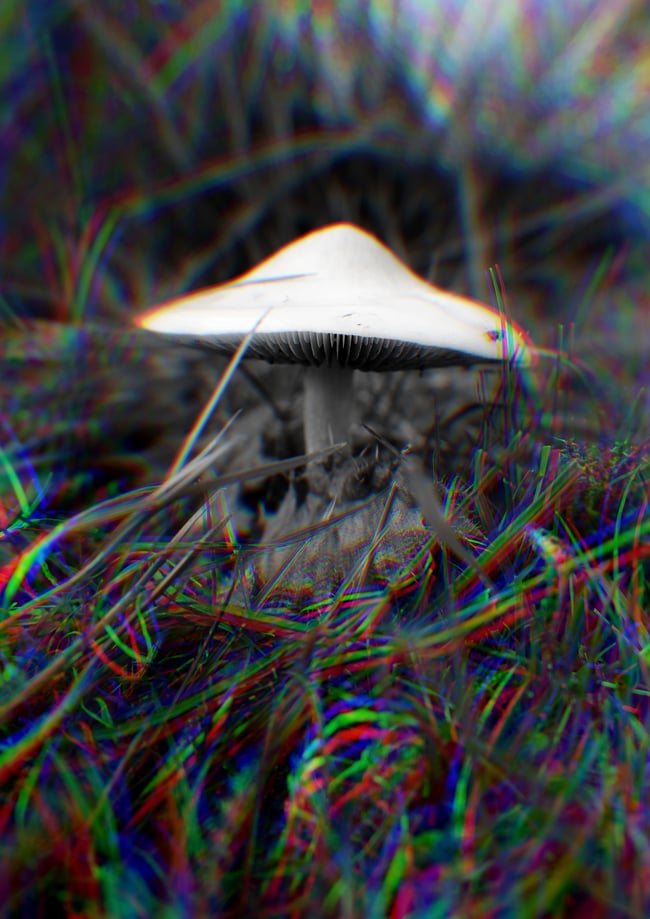 Psychedelic Postcard Pack 