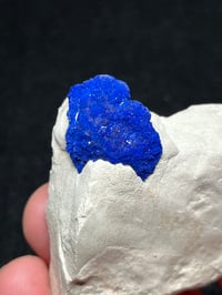 Image 8 of Azurite Suns On Matrix Specimen | NT Australia #2775