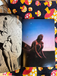 Image 5 of NUDE, Kishin Shinoyama, 1970, First Edition, Softcover