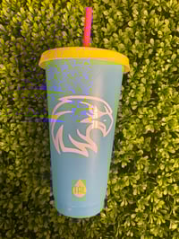 Image 4 of Eagle Tumblers 