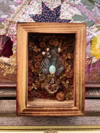 Image 1 of Vertebrae Garden Curiosity