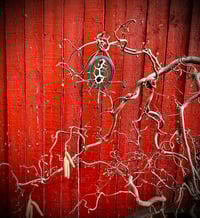 Image 3 of Extensions:  Nature's Talisman III