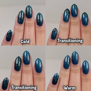 Image of Polish Pickup