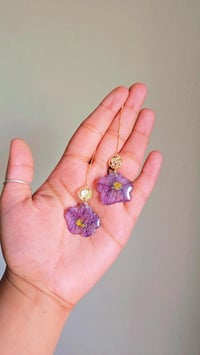 Calibrachoa threaders 