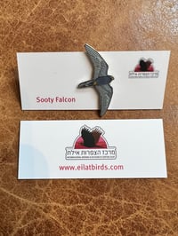 IBRCE Sooty Falcon Pin Badge