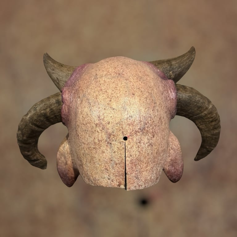 The Wanderer Image 4