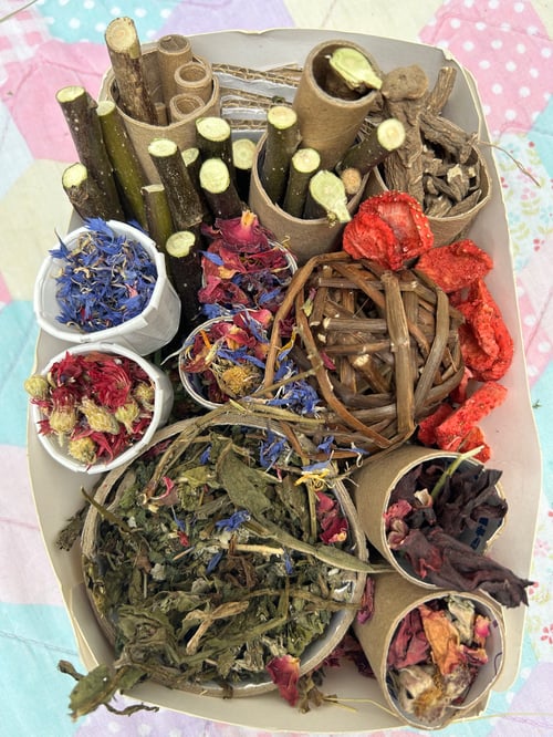 Image of Mystery enrichment toy filled with dried delights goodies