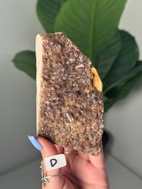 Image 6 of SUNSET PHANTOM QUARTZ -INDIA- LOT 1