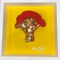 The Mac Broccoli 