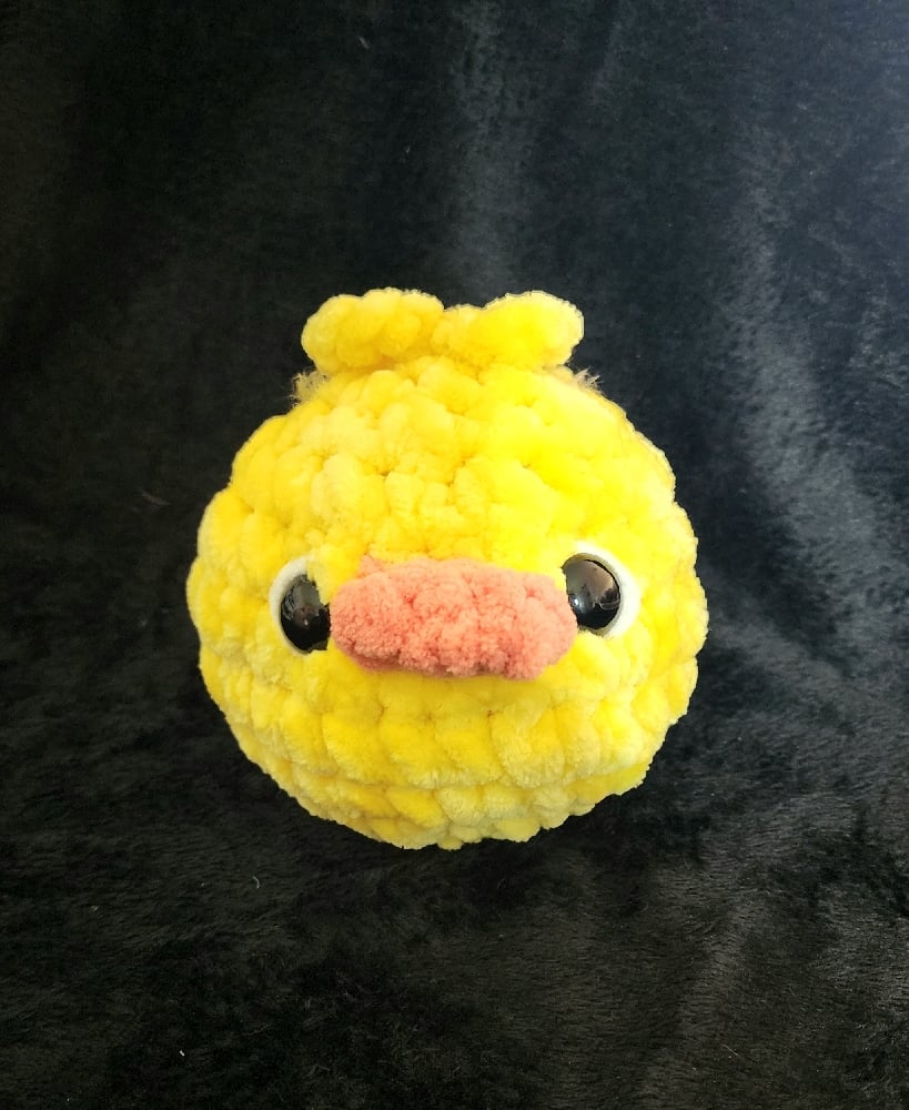 Image of Chicks