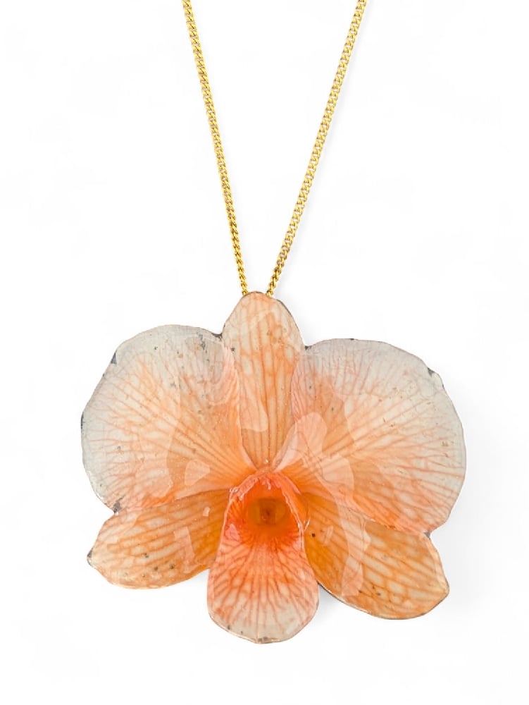 Image of Dendrobium Orchid Pendants (Pinks & Orange)