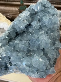 Image 2 of Celestite Open Crystal Cluster #2589