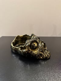 Image 1 of Skull holder base 23