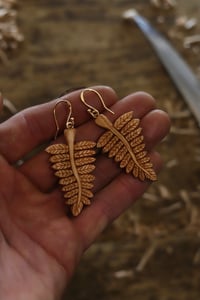 Image 3 of Fern leaf earrings….